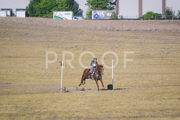 DSC_0956
