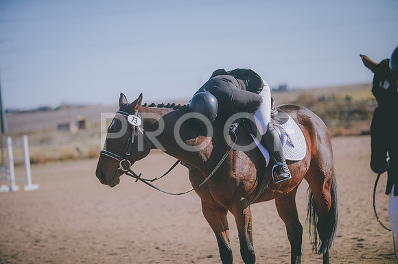 JJS_1588