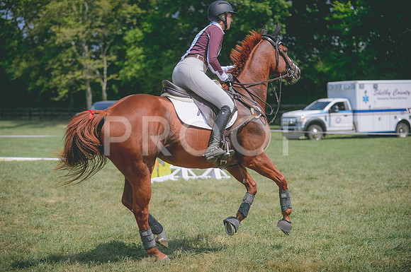 JJS_1623