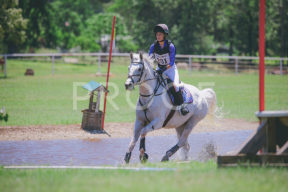 RWP_0501
