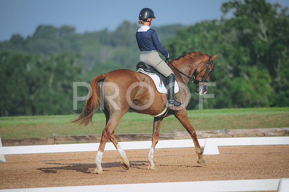 RWP_4428
