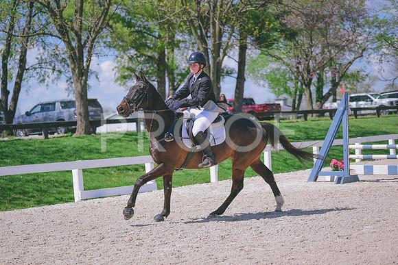 MEL_5561