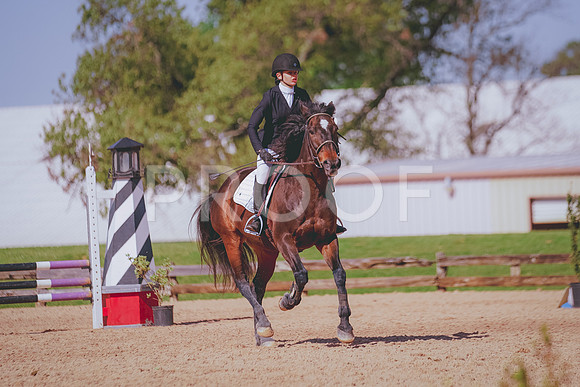 DSC08433