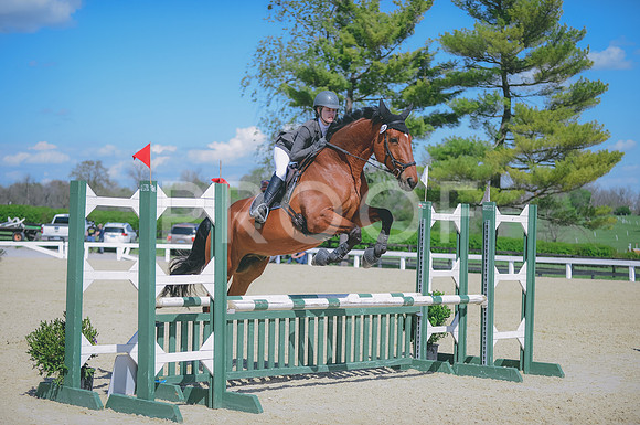 000_0833