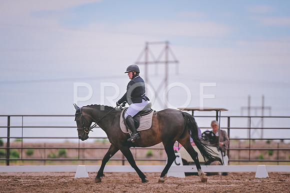 DSC_6795