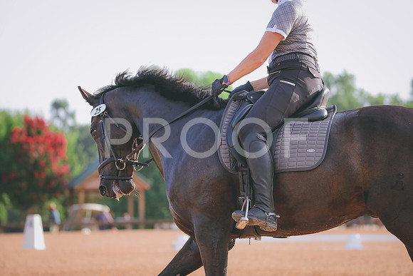 RWP_4257