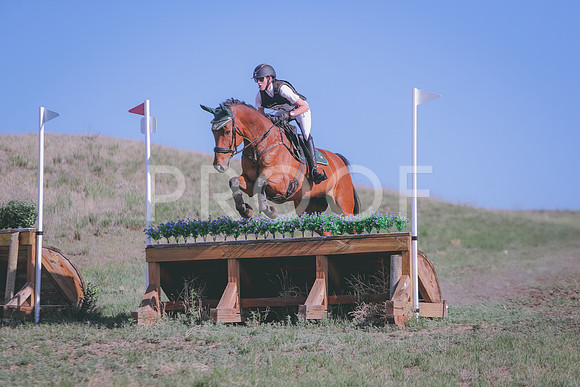 CDH_9518