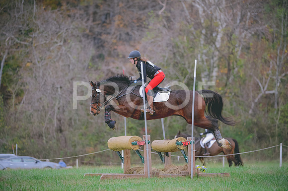JJS_0356A