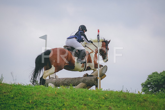 SWP_3322