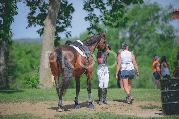 000_1379