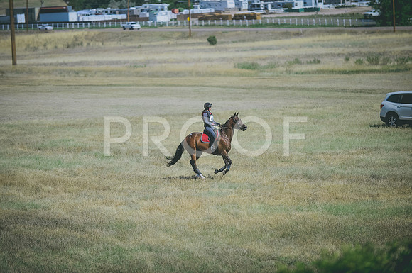JJS_0798