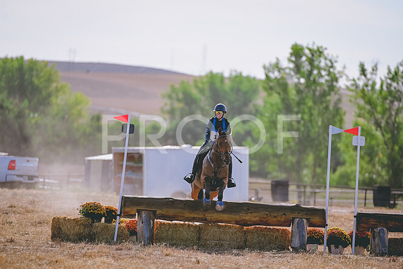 DSC_4570