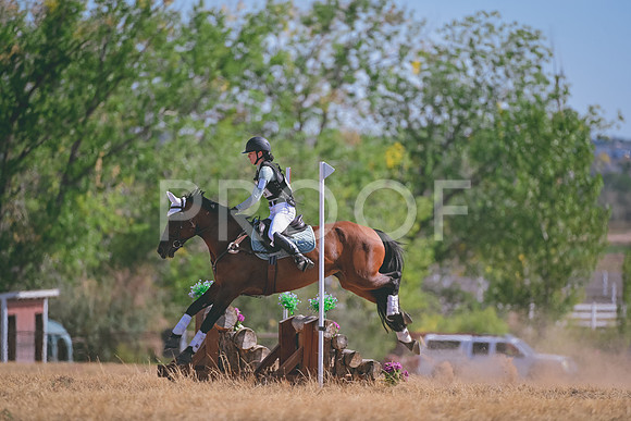 DSC_2235A