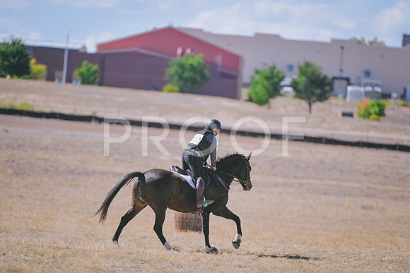DSC_6061A