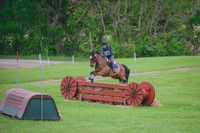 Claire Tyner White/Fly High Harvey