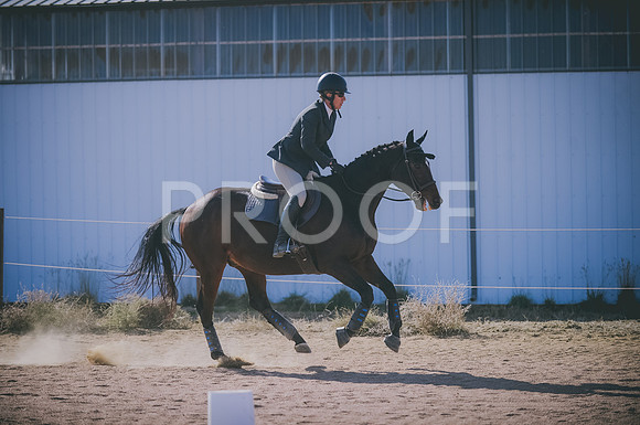 JJS_2729