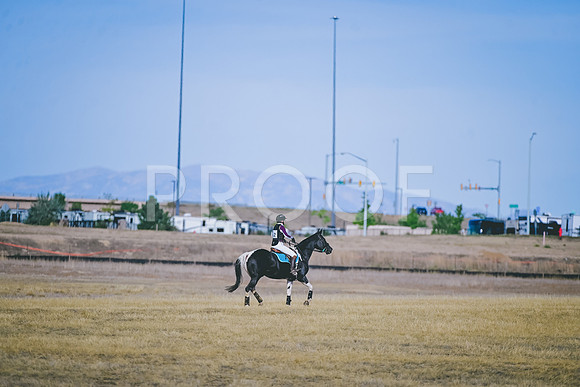 DSC_3961