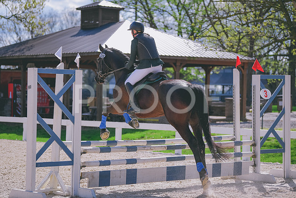 MEL_6131