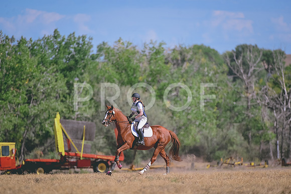 DSC_6843A
