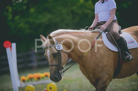 JJS_4705
