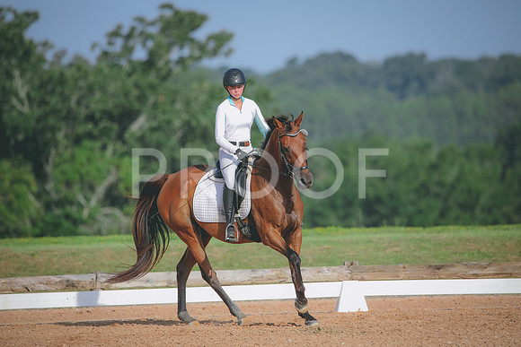 RWP_4478