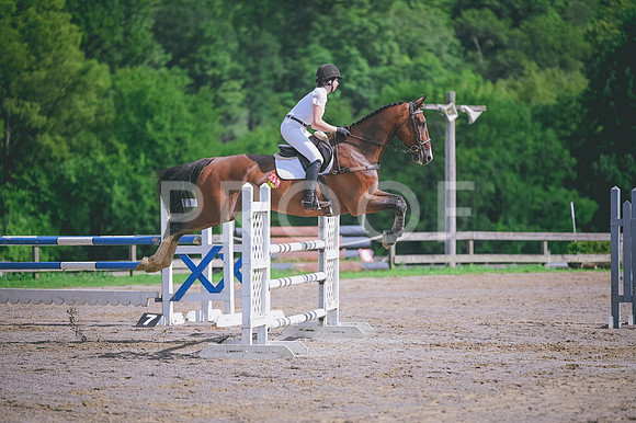 DSC_3681