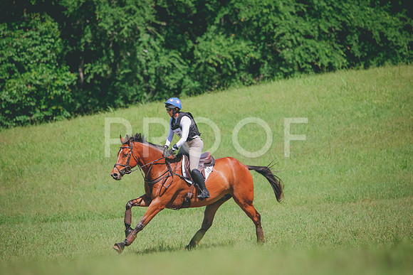 RWP_6582