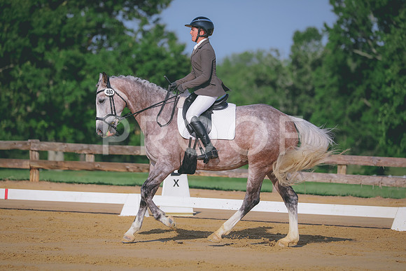 FFF_8343