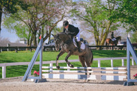 Amanda Conti/Pure Tap