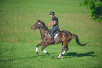 William Hoos/Whitfield
