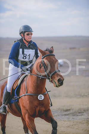 JJS_3597