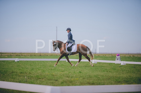 JJS_1328