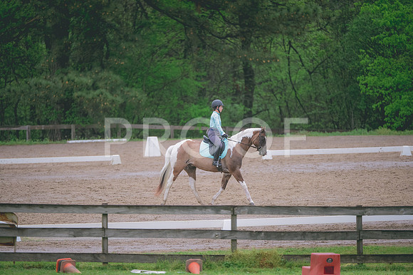 JJS_2939