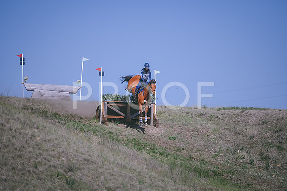 DSC_6633B