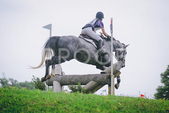 SWP_3147