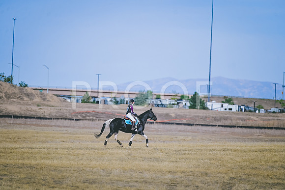 DSC_3941