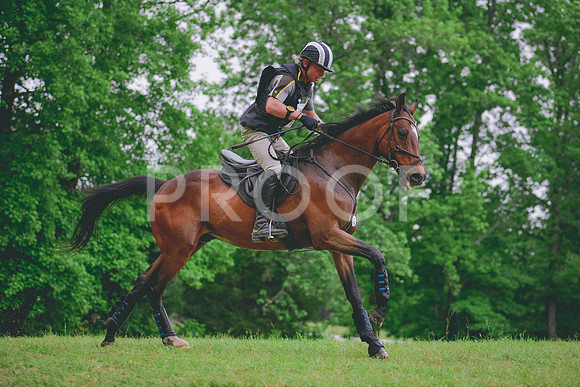 MEI_0552