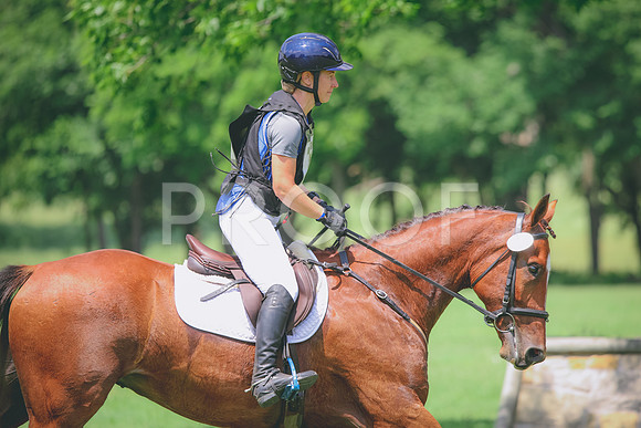 RWP_4241