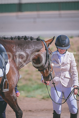 DSC_9234