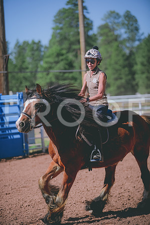 JJS_5271