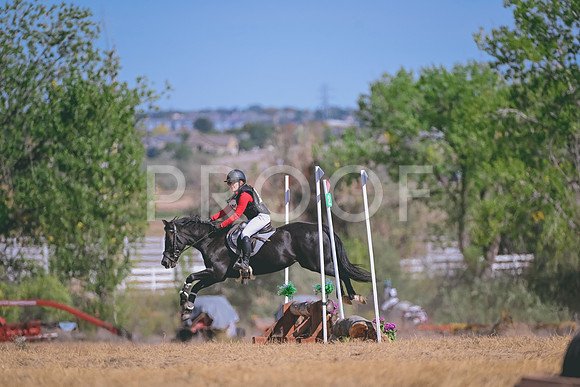 DSC_6181A