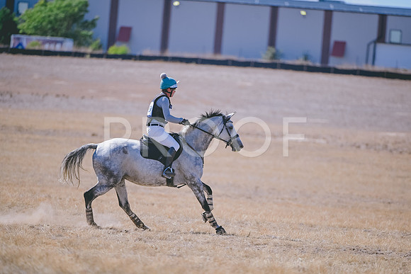 DSC_6786A