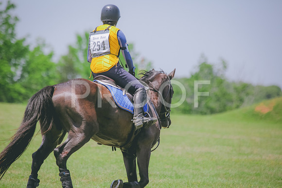 SWP_9093