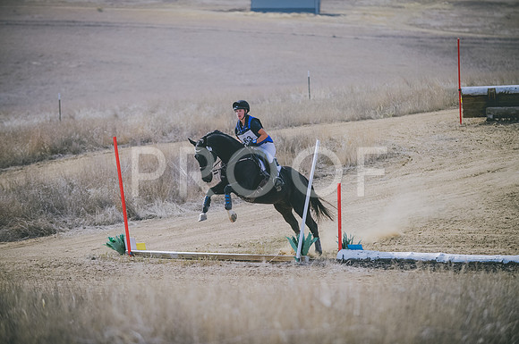 JJS_0452