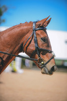 Madyx Guidry/Dancin'With Thunder