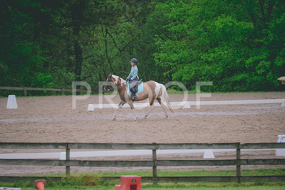 JJS_2959