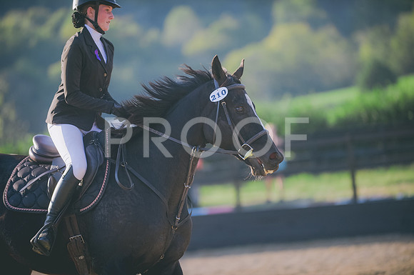 JJS_0451