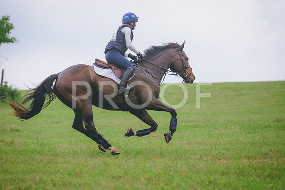 SWP_2412