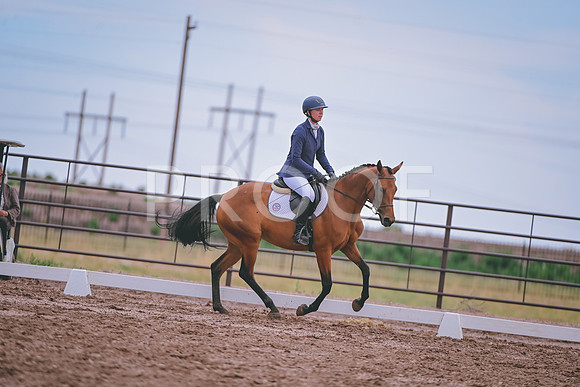DSC_2977