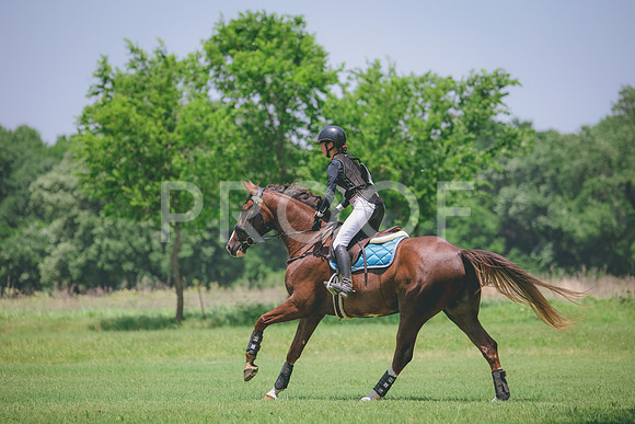 RWP_3278